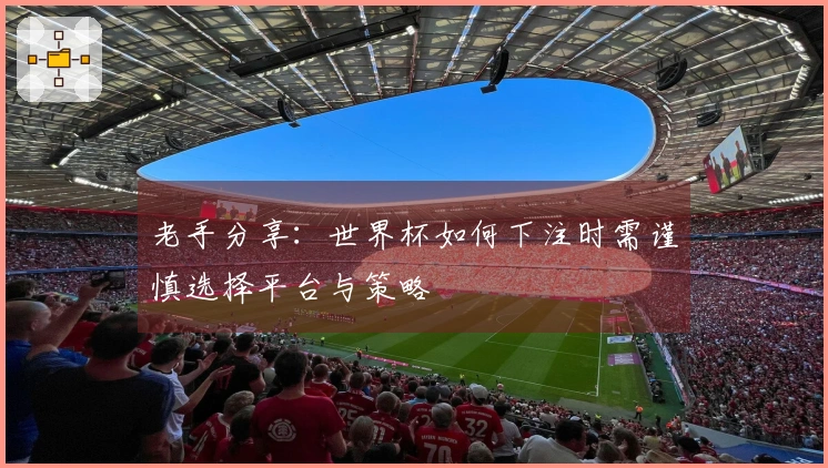 老手分享：世界杯如何下注时需谨慎选择平台与策略